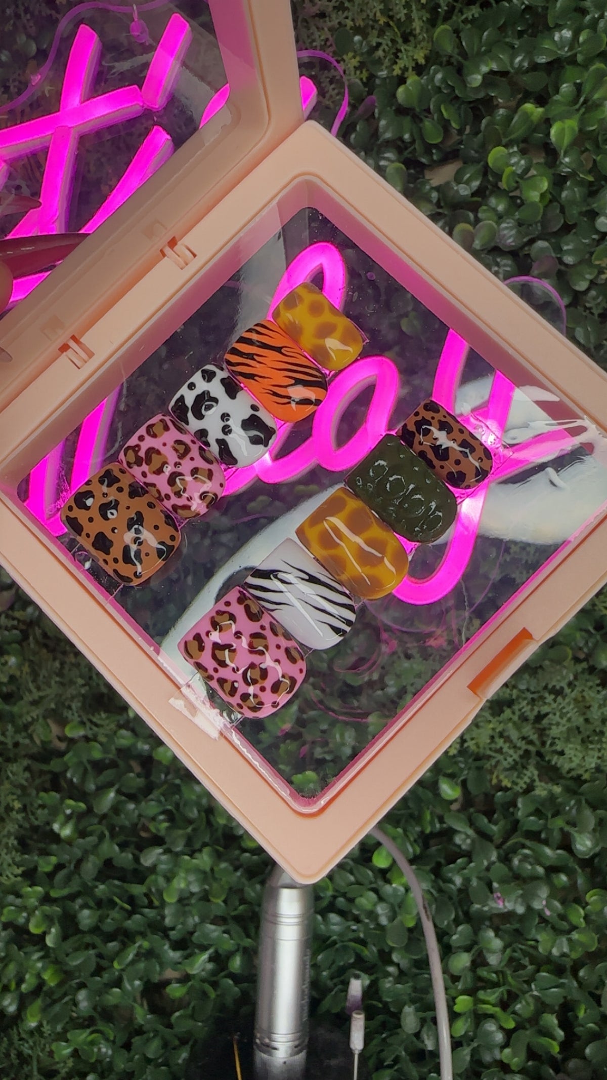 Fun Animal Print Set