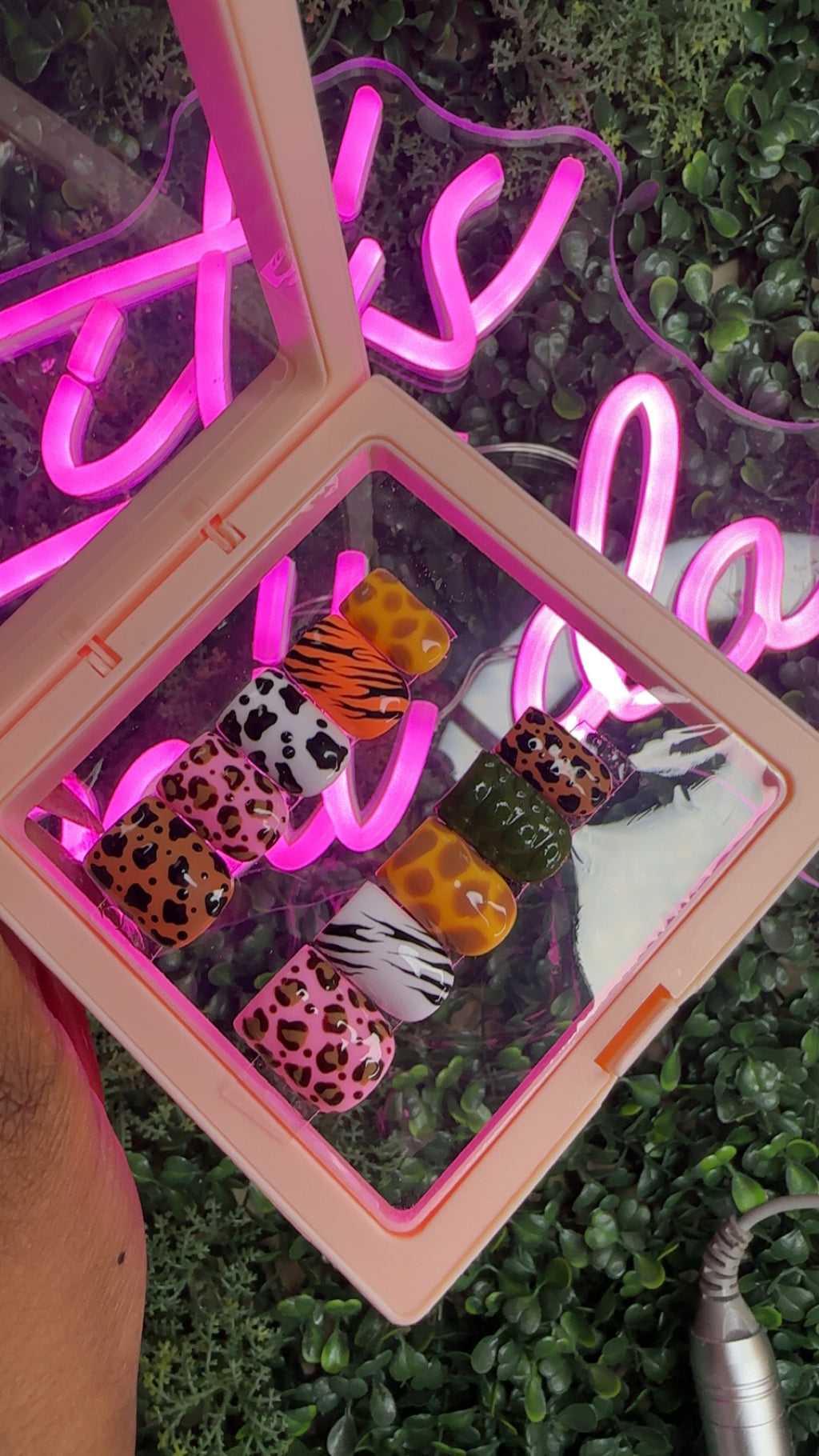 Fun Animal Print Set
